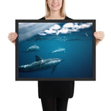 Tableau  Dauphin et ses Petits Nageant