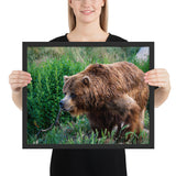 Tableau Ours Marchant dans l'Herbe