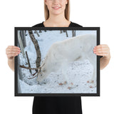 Tableau Rennes Blanc mangeant