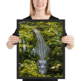 Tableau Crocodile le Tueur des Marais