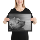 Tableau Animaux Ours Noir et Blanc Nageant