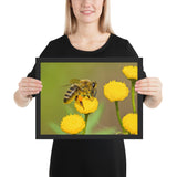 Tableau Animaux Abeille La Reine Des Fleurs