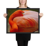 Tableau avec Flamant Rose Plumage Transparent