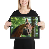 Tableau Tête de Cheval petit cadre