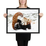 Tableau Panda Roux bébé