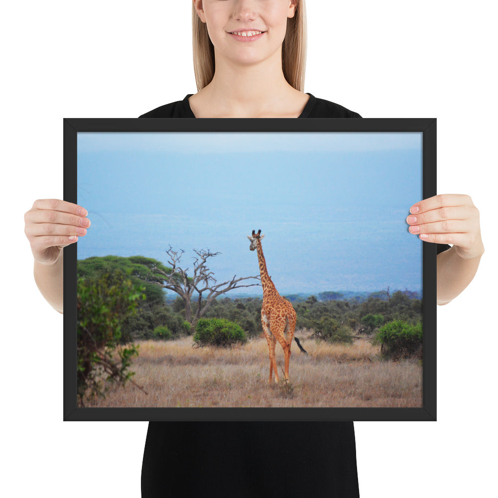 Tableau girafe dans la plaine Africaine : tableau africain