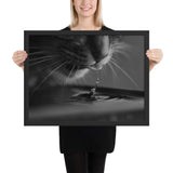 Tableau chat noir et blanc joue avec l'eau