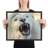 Tableau Lion Blanc Crocs Géants