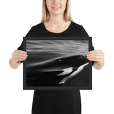 Tableau Animaux Orque en Noir et Blanc