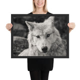 Tableau Loup (Noir et Blanc)
