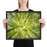 tableau arbre branche d'arbre XXL
