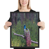 Tableau Faisan Oiseau