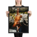 Tableau Orang Outan Déco