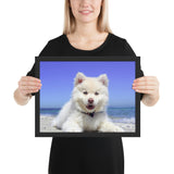 Tableau Animaux Chien Poils Longs