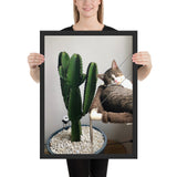 Tableau Chat Rigolo Cactus Mexicain