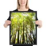 Tableau jungle bambou ensoleillé