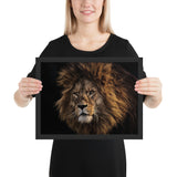 Tableau Animaux Tête de Lion