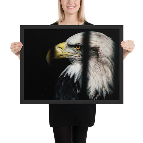 Tableau Aigle La Prison