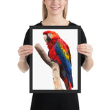 Tableau Animaux avec Perroquet