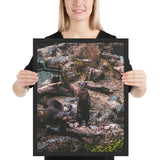 Tableau Loutre Curieuse