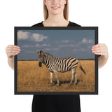 Tableau Animaux Zebra