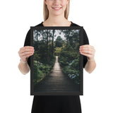 Tableau Arbre Nature Forêt (La Jungle)