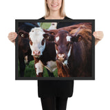 Tableau avec des Vaches