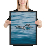 Tableau  Dauphin en Couple