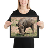 Tableau Sanglier moderne