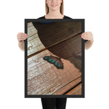 Tableau Papillon Abstrait Son Ombre