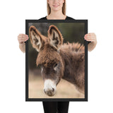 Tableau Ane de Profil
