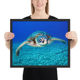 Tableau Déco Tortue Moderne