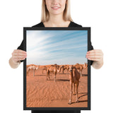Tableau Animaux Chameau Désert