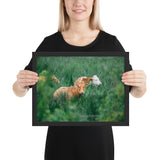 Tableau avec Vaches Moderne