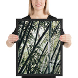 Tableau bambou jungle d'asie