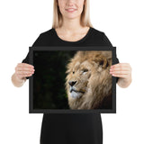 Tableau Animaux Lion en Couleur Crinière