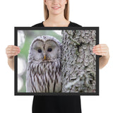 Tableau Hibou Bébé Blanc