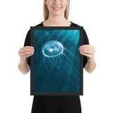 Tableau de Méduse Translucide (en Apesanteur)