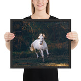 Tableau Chevaux Blancs Coucher de Soleil