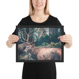 Tableau Cerf Montagne Longues Cornes