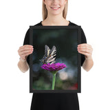 Tableau Animaux de Papillons (Fleur Violette)