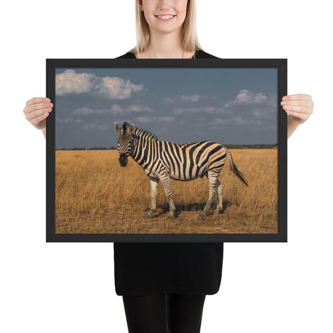 Tableau avec un Zèbre