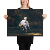 Tableau Chevaux Blancs au Galop