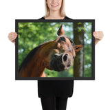 Tableau Tête de Cheval (Le Comique)