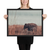 Tableau Eléphant d'Afrique Savane