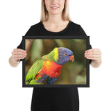 Tableau Animaux Multicolore Rouge et Vert