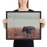 Tableau Eléphant d'Afrique en promenade