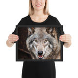 Tableau Animaux Tête de Loup