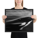 Tableau Orque en Noir et Blanc en Chasse