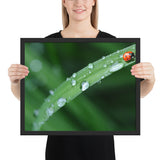 Tableau  Coccinelle sur Feuille
